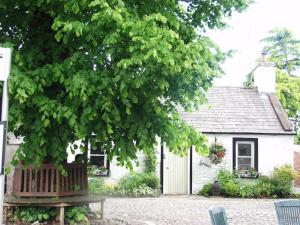 a bench under a tree in front of a house at Abbey Green, New Abbey, Dumfries and Galloway in Dumfries