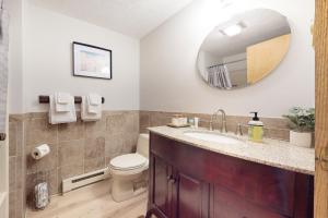 a bathroom with a sink and a toilet and a mirror at White Mountain Chalet in Bartlett +52 photos