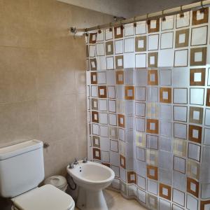 a bathroom with a toilet and a shower curtain at El descanso, zona de bodegas in Ciudad Lujan de Cuyo