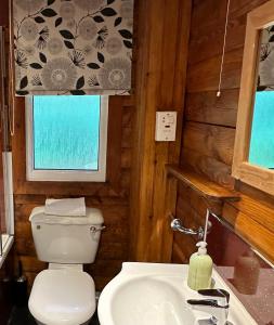 a bathroom with a toilet and a sink and a window at Pucks Glen Lodges in Dunoon