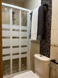 łazienka z prysznicem, toaletą i ręcznikami w obiekcie Coqueto apartamento muy céntrico w Madrycie