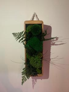 une boîte en bois remplie de plantes vertes sur un mur dans l'établissement Maison Mard'Or Chambre Forêt, à Mardor