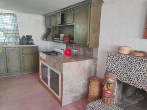 a kitchen with green cabinets and a stove top oven at Beautiful Rustic Cottage Adobe, Rancho El Payasito in Cuauhtémoc