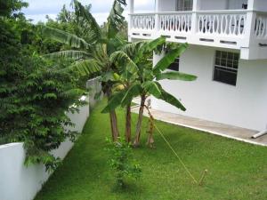 Fotografie z fotogalerie ubytování Selen's Apartment in Ti Rocher Micoud Saint Lucia v destinaci Micoud
