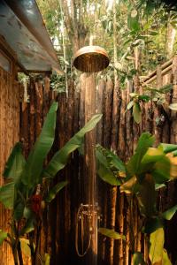 Ein Garten an der Unterkunft BubbleSky Glamping Guatapé