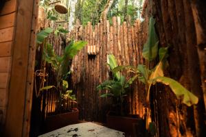 Ein Garten an der Unterkunft BubbleSky Glamping Guatapé