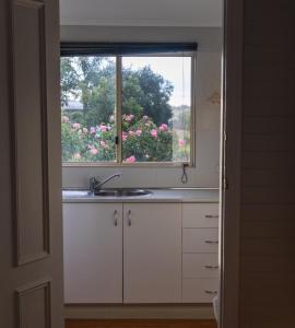 a kitchen with a sink and a window with pink flowers at Golfers Inn in Tenterfield