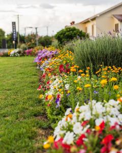 un giardino di fiori colorati in un cortile di Golfers Inn a Tenterfield