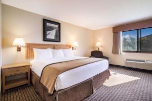 um quarto de hotel com uma cama grande e uma janela em Best Western Golden Spike Inn & Suites em Hill City