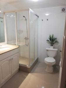 W łazience znajduje się prysznic, toaleta i umywalka. w obiekcie Belle Epoque Hostal w mieście Viña del Mar