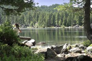 une femme debout sur un bois près d'un lac dans l'établissement Samel's Cottage Hrid's lake Prokletije, à Plav
