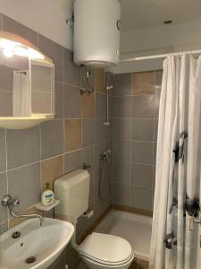 a bathroom with a toilet and a sink and a shower at Apartments with a parking space Sutivan, Brac - 2846 in Sutivan