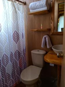 ein Badezimmer mit einem WC, einem Waschbecken und einem Duschvorhang in der Unterkunft Cabaña en La Calera Zihita in La Calera