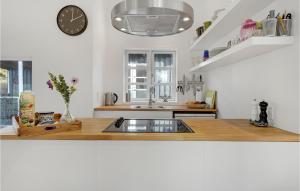Kuchyň nebo kuchyňský kout v ubytování Beautiful Home In Ølsted With Kitchen