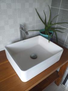 a white sink with a potted plant on a table at Arista Lakey Peak House in Huu