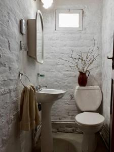 a white bathroom with a toilet and a sink at Casa Azul in Potrerillos