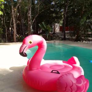 un flotador de flamenco rosa en una piscina en Saasil Kaax en Chemuyil