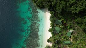 an aerial view of a beach and the ocean at Raja Ampat Eco Lodge in Tapokreng