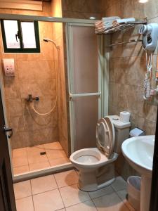 uma casa de banho com um chuveiro, um WC e um lavatório. em Lohas Seaview B&B em Beigan
