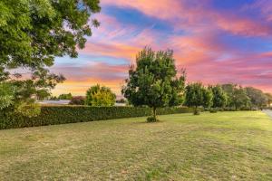 Ein Baum auf einem Feld mit Sonnenuntergang im Hintergrund in der Unterkunft Burringa Garden Motel in Wagga Wagga