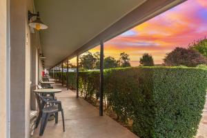 eine Terrasse mit einem Tisch und Stühlen neben einer Hecke in der Unterkunft Burringa Garden Motel in Wagga Wagga