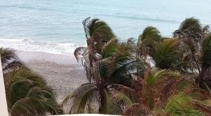 a view of a beach with palm trees and the ocean at Departamento con piscina frente al mar en Manta in Manta
