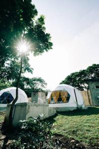 a group of tents in a field with a tree at Family Dome Glamping in Rizal with Private Hotspring in Lubo