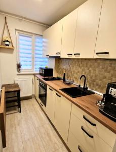 Kuchyň nebo kuchyňský kout v ubytování Apartamentul GAVIOTA