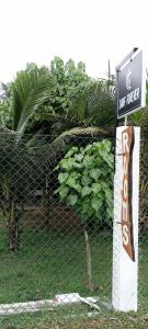 Ein Garten an der Unterkunft Surf Forever