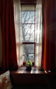 a vase sitting on a table in front of a window at Hotel de Plataan Delft Centrum in Delft