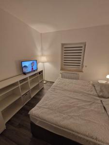 a bedroom with a bed and a flat screen tv at Ferienwohnung am Grambker See in Bremen