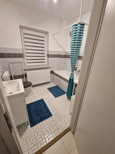 a bathroom with a shower and a sink and a tub at Ferienwohnung am Grambker See in Bremen