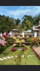 にあるTendean's Homestay in Tampusuの花の咲く庭園