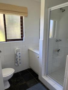 a bathroom with a shower and a toilet and a sink at Lagoon View in Plettenberg Bay