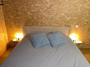 a bedroom with a bed with two blue pillows at Abarolodge in Hannut