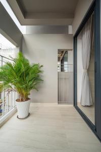 a plant in a pot on a hallway with a window at Stockholm Apartment in Ho Chi Minh City