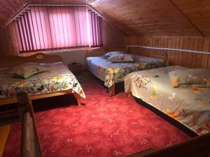 Habitación con 2 camas y alfombra roja. en Casa de vacanța Cristina, en Cîmpu lui Neag