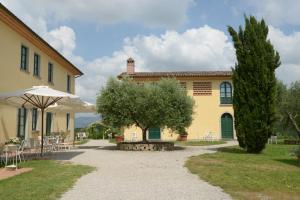a house with a tree and a table and an umbrella at Agriturismo Musignano in Cerreto Guidi