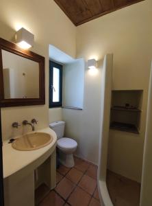 La salle de bains est pourvue d'un lavabo, de toilettes et d'un miroir. dans l'établissement Pure Nature House, à Andros