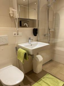 ライト・イム・アルプバッハタールにあるApartment Sonnwendのバスルーム(洗面台、トイレ、シャワー付)