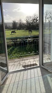 ein offenes Fenster mit zwei Pferden auf einem Feld in der Unterkunft Maison 4 personnes dans village Cœur du perche avec toutes commodités Mini 2jours in Condé-sur-Huisne