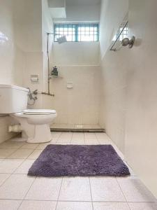 a bathroom with a toilet and a purple rug at Batuferringhi children waterslid paradise 3mins to the beach in Batu Ferringhi