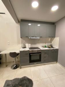Kuchyňa alebo kuchynka v ubytovaní Luxury Loft Kalu Tsesme B + 22 fotografií