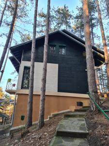 uma casa negra com árvores em frente em Green door 2 em Vrnjačka Banja