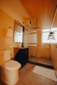 ein Bad mit einem WC und einer Dusche in der Unterkunft Daiatei Homestay in Shillong