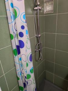 Ένα μπάνιο στο Chostello Ecomis Clasik