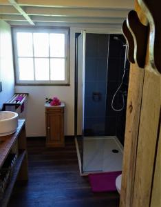 a bathroom with a shower and a sink at La cabane du cerf et son sauna in Attre