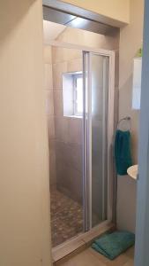 y baño con ducha y puerta de cristal. en Albatross Beach Guest House, en Jeffreys Bay