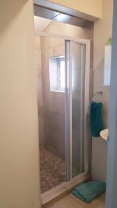 a shower with a glass door in a bathroom at Albatross Beach Guest House in Jeffreys Bay