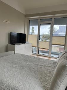 Schlafzimmer mit einem Bett und einem Flachbild-TV in der Unterkunft Apartamentai Muziejaus g. in Birštonas